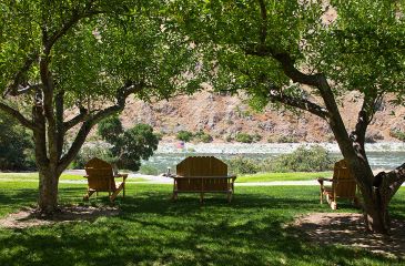 Three wooden pieces of outdoor furniture are placed in the shade of fruit trees on the grassy bank of a hill looking down on the swift rapids of the Snake River in Idaho.